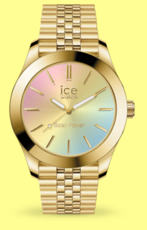 023992 - Ice steel