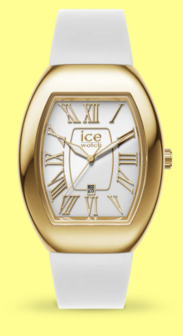 024049 - Ice boliday - Dome