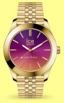 023792 - Ice steel